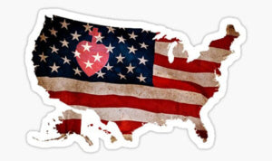 Sacred Heart in America Sticker